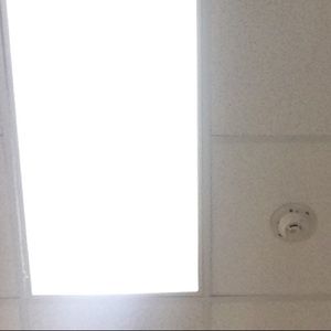 Meet your Posher, Aamani